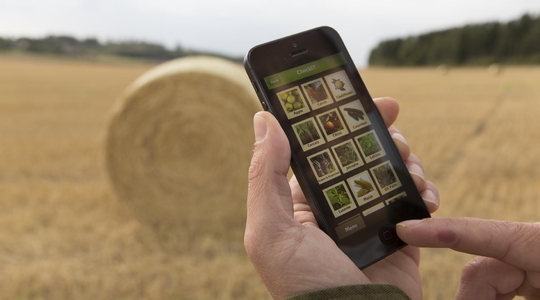 防偽查詢(xún)—查驗(yàn)產(chǎn)品真?zhèn)? />
                </div>
                <div   id=